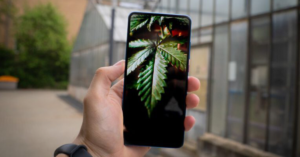 Influencer Marketing for the Cannabis Industry | Cannabis Marketing Services by Nacho Agency | Cannabis Website Design, Photography, Videography, Graphic Design and More!
