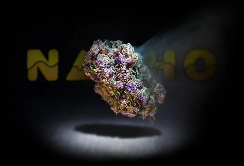 Cannabis Marketing and Content Creation Services by Nacho Agency | Cannabis Website Design, Photography, Videography, Graphic Design and More!